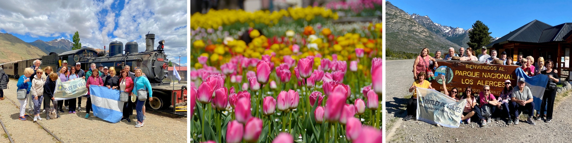 Esquel con Tulipanes
