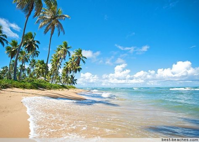 IMBASSAI - VACACIONES DE INVIERNO 